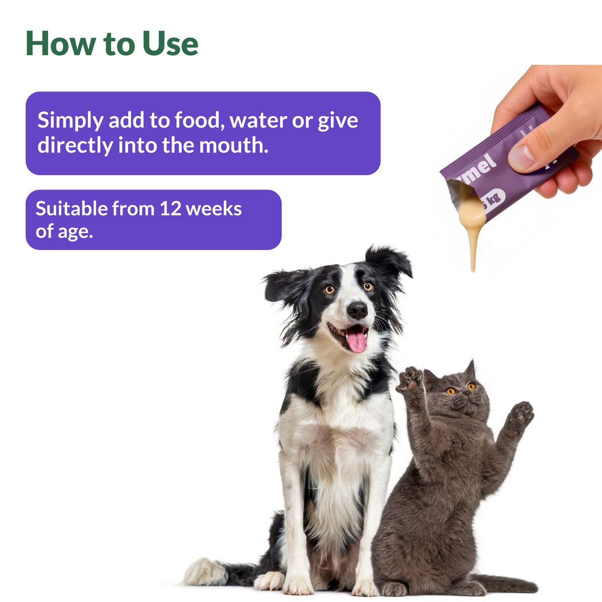 lifepets Joint Formula, Gel Sachets for Dogs & Cats