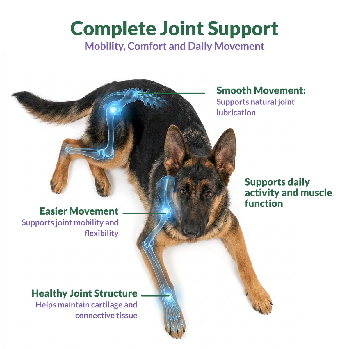 lifepets Joint Formula, Gel Sachets for Dogs & Cats