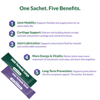 lifepets Joint Formula, Gel Sachets for Dogs & Cats